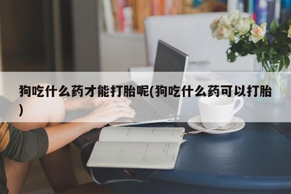 米非米索怎么购买狗吃什么药才能打胎呢(狗吃什么药可以打胎)