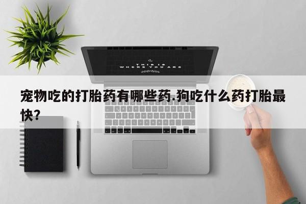 米非米索怎么购买宠物吃的打胎药有哪些药.狗吃什么药打胎最快？