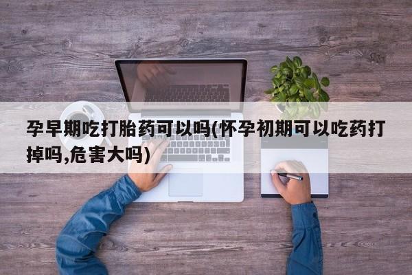 米非米索怎么购买孕早期吃打胎药可以吗(怀孕初期可以吃药打掉吗,危害大吗)